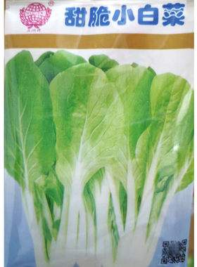甜脆小白菜种子四季小白菜耐热白梗青菜农家阳台盆栽蔬菜种籽孑