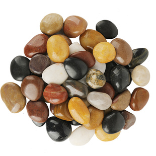 铜钱草碗莲水仙花郁金香绿萝富贵竹水培石子植物固定装饰彩色石头