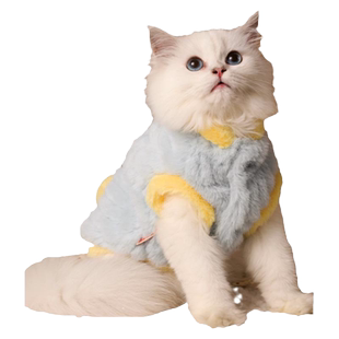 猫咪衣服秋冬保暖加绒加厚棉衣布偶德文小猫马甲冬装暹罗防风冬季