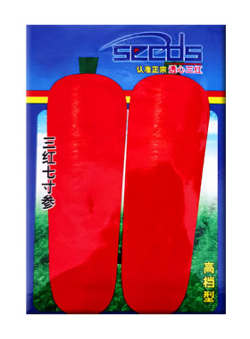 胡萝卜种子精选新种鲜活饱满