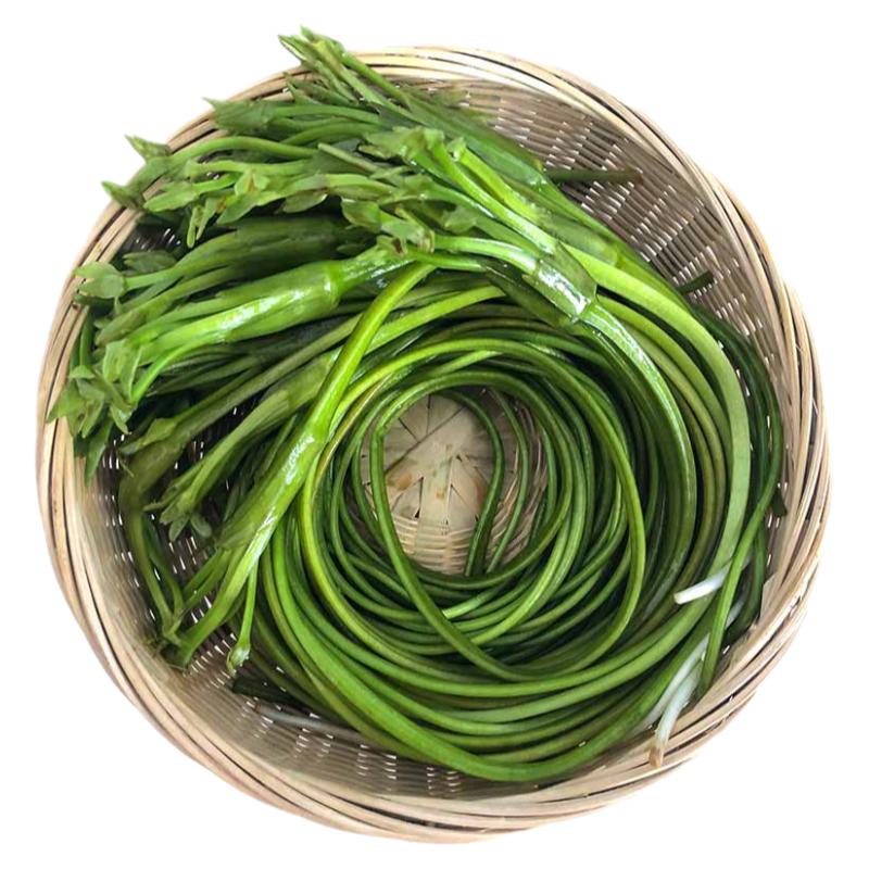 云南大理洱海特产新鲜蔬菜水性杨花菜泸沽湖海菜花现摘自农家包邮