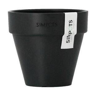 青野园艺家树脂塑料环保轻便大小号花盆仙人球多肉小号北欧室内外