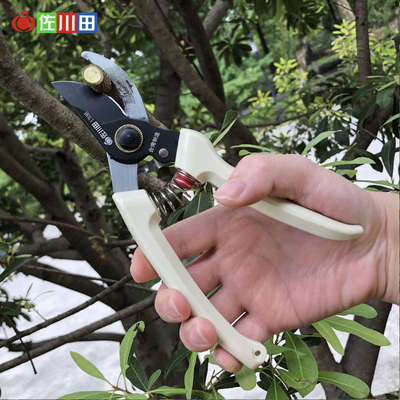 佐川田花枝剪树枝剪园林修枝剪园艺进口省力果枝剪绿化盆栽粗枝剪
