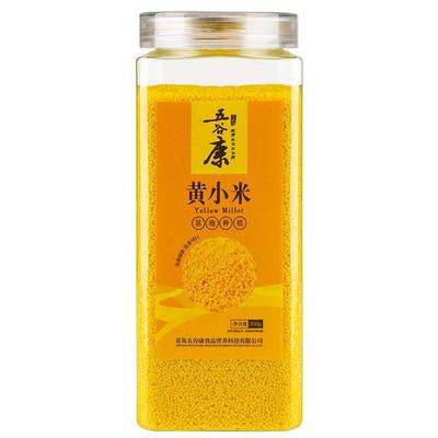 五谷康黄小米米油丰厚当季新米