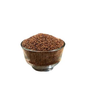 中药材 特级菟丝子野生吐丝子纯净兔丝实无根草黄丝沙苑子沙菀子