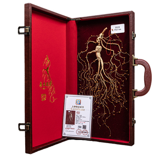 正宗长白山人参礼盒高龄老山参泡酒送礼滋补养生15年带鉴定证书