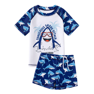 儿童泳衣男童中小童分体防晒泳装男孩游泳裤2025新款速干专业套装