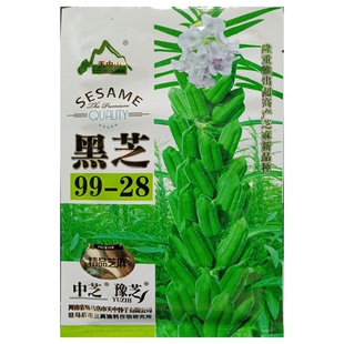 黑芝99-28黑芝麻种子中芝先锋白芝麻种籽河南驻马店90克约1.5万粒