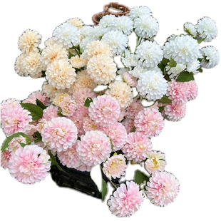 暗香 高品质重瓣3头大丽花 仿真大理菊拍照摄影道具大丽花球菊