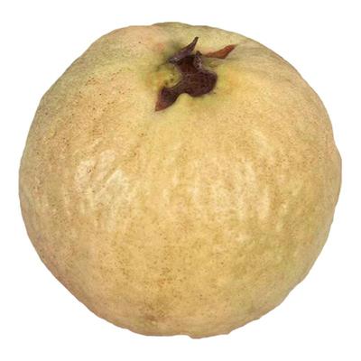 福建奶油芭乐混合装软糯坏果包赔