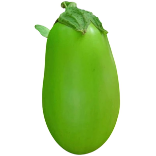 茄子苗秧苗紫把长茄苗大龙茄苗线茄幼苗黑圆茄种苗嫁接四季蔬菜苗