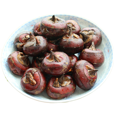 精选超大新鲜现挖5斤广西桂林