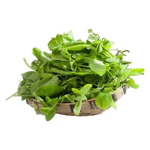 苏北农家露天霜冻嫩豌豆尖豌豆苗新鲜蔬菜龙须菜烫火锅叶菜顺丰