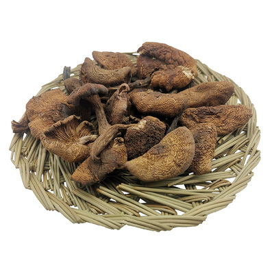 新货爆款包邮农产品小鸡炖蘑菇