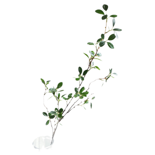 ins仿真花棕榈散尾叶子绿植树叶插花草植物蕨叶婚庆摄影拍照道具