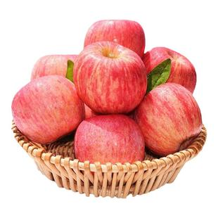 拉丝苹果山东烟台红富士10斤脆甜栖霞水果平5斤当季新鲜现摘条纹
