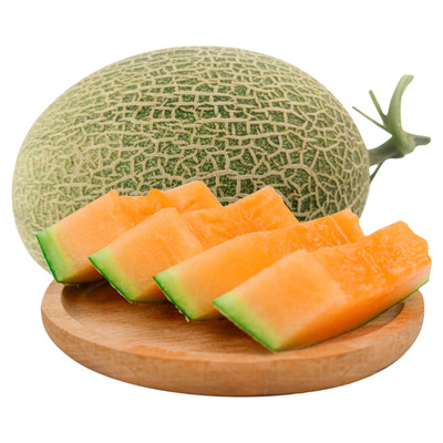 现摘海南哈密瓜25号老汉瓜