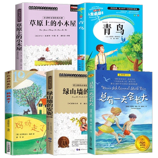 全套4册骑鹅旅行记六年级必读的课外书下册原著正版鲁滨逊漂流记爱丽丝漫游奇境记汤姆索亚历险记快乐读书吧推荐阅读书目尼尔斯6