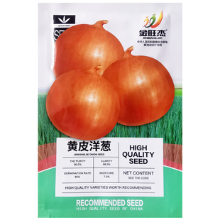 金冠洋葱王黄皮金皮洋葱种子种籽早熟高产甜辣秋冬季播农家蔬菜孑