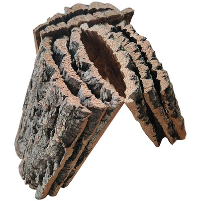 鹿角蕨挂板香槟软木真树皮定值板空气凤梨石斛兰花蝴蝶兰种植板