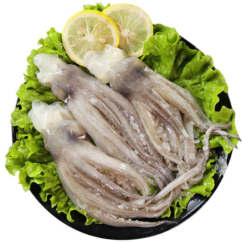 新鲜海鱼阿根廷鱿鱼头量大优惠