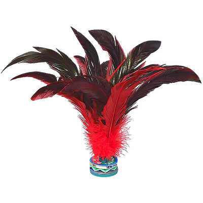 鸡毛毽子成人健身比赛专用