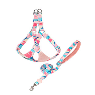 Touchdog它它艺术家狗狗胸背带牵引绳遛狗中小型犬宠物背心式狗绳