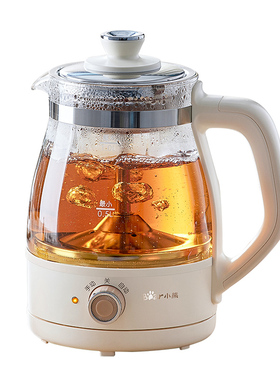 小熊煮茶器家用办公室小型煮茶壶