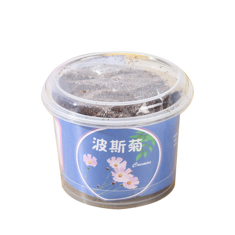 创意diy负离子水培盆栽办公室桌面迷你儿童种植小草盆栽植物室内