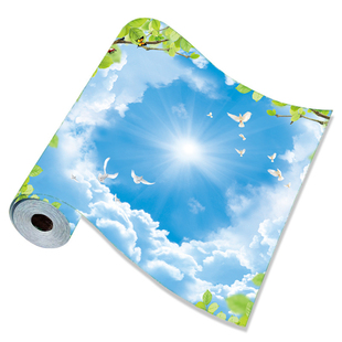 自粘天花板客厅卧室酒店贴纸立体蓝天白云星空现代吊顶墙贴画壁画