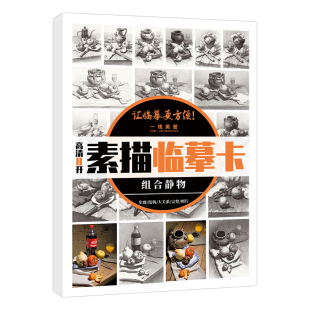 素描组合静物8开临摹卡 高清组合静物卡片单体组合照片结构步骤完整临摹练习创意绘画美院艺考高考联考静物素描书入门教材基础教程