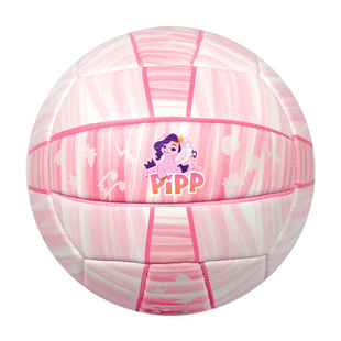 ProSelect专选排球中考学生专用儿童初中小学生4号5号充气硬排