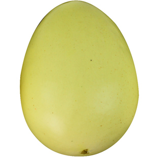 仿真鸡蛋鹅蛋鸭蛋鸵鸟蛋恐龙蛋鹌鹑蛋巨蛋假鸡蛋模型橱窗摄影道具