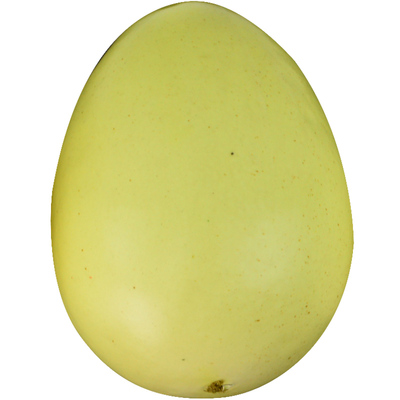 仿真鹅蛋橱窗摄影模型