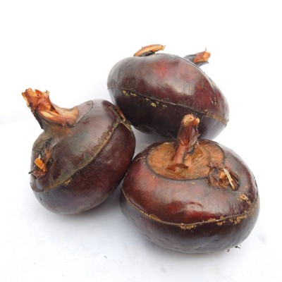 马蹄已甜适合生吃果王10-14个/斤