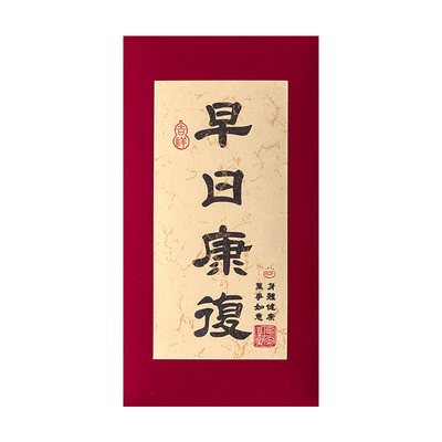 身体健康祝福红包袋早日康复亲朋探望病人出院长辈老人慰问利是封