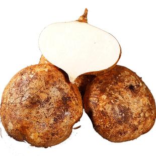 现挖凉薯新鲜9斤广西土瓜红土豆薯农家白地瓜葛根番薯山芋包邮10