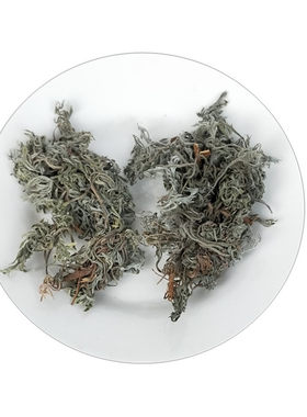 茵陈草新鲜整棵干货散装中药材