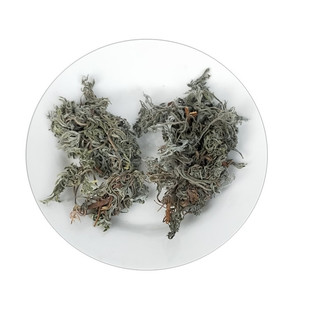 茵陈 中药材 茵陈草 茵陈蒿 绵茵陈 野生新鲜整棵干货散装500g