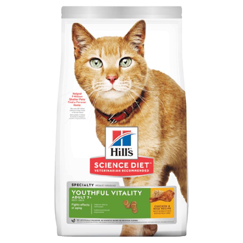 青春活力老猫希尔斯活力老年猫
