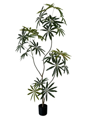 假绿植孔雀木室内高端轻奢落地盆栽高级感仿生绿色植物摆件装饰树