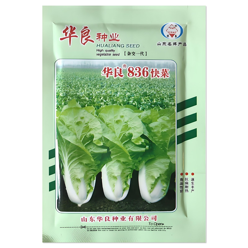 华良836快菜种子奶油白菜
