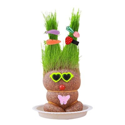 草头娃娃浇水头上长草人绿植