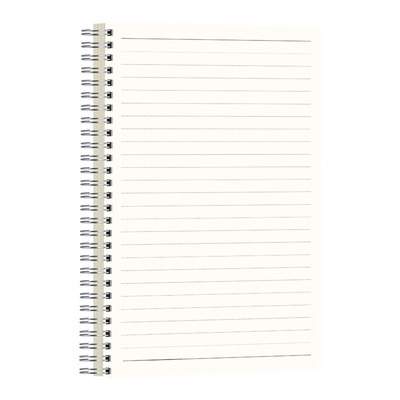 笔记本本子b5线圈本加厚ins风