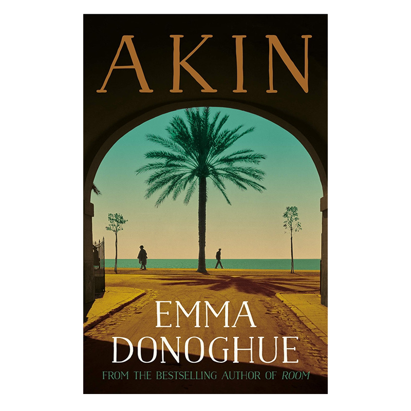 akin 相似的 爱玛多诺霍 英文原版《房间》作者新书 emma donoghue纯全英文版正版原著进口原版英语书籍
