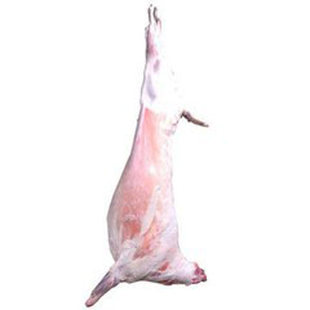 整只羊肉生鲜单品新疆草原放牧绵羊红烧清炖烧烤膻味小肉质嫩包邮