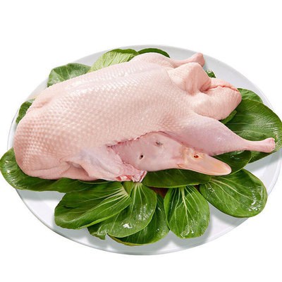 农家散养老鸭新鲜现杀黄河滩麻鸭