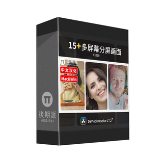 达芬奇视频照片分屏多屏幕多画面模板DaVinci Resolve中文插件