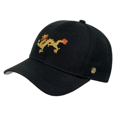 龙年正品棒球帽子韩版冬季