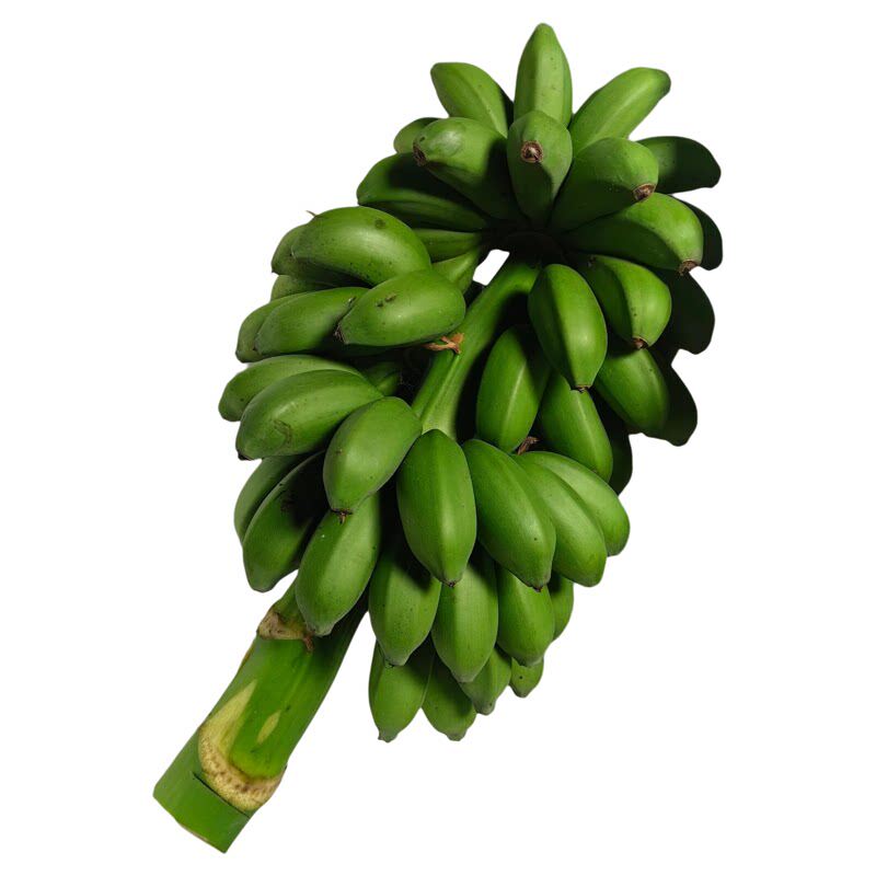 整串禁止蕉绿水培香蕉送卡片